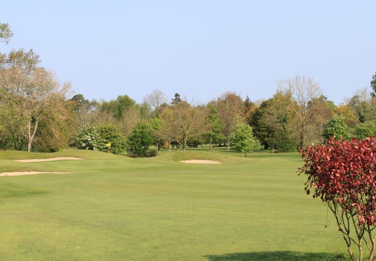Co. Meath Golf Club 2 Green Fees