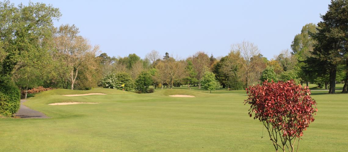 Co.Meath Golf Club: 2 Green Fees